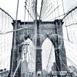 Brooklyn Bridge Cleaning Cloth Discount