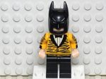 Tiger Tuxedo Batman, sh0390 For Sale