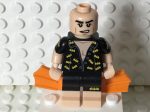 Vacation Batman, coltlbm-5 For Sale