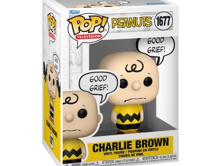 Peanuts - Charlie Brown  Good Grief  Pop! Vinyl 1677 Hot on Sale