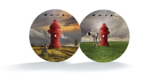 RUSH - SIGNALS (40TH ANNIVERSARY) (VINYL) For Discount